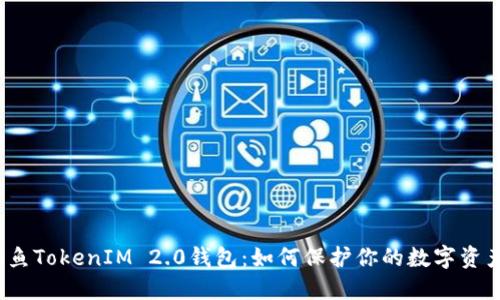 揭秘钓鱼TokenIM 2.0钱包：如何保护你的数字资产安全？