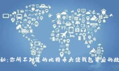 揭秘：你所不知道的比特