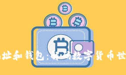 虚拟币地址和钱包：解码数字货币世界的基石