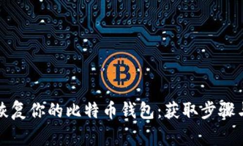 如何轻松恢复你的比特币钱包：获取步骤与注意事项