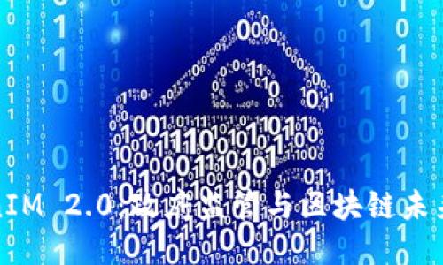 探秘TokenIM 2.0：政府监管与区块链未来的交汇点