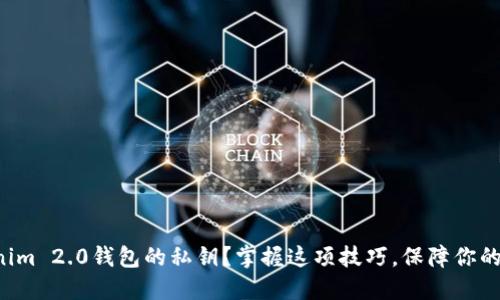 如何查看Tokenim 2.0钱包的私钥？掌握这项技巧，保障你的数字资产安全！