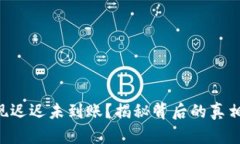 Tokenim提现迟迟未到账？揭