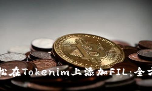 如何轻松在Tokenim上添加FIL：全方位指南