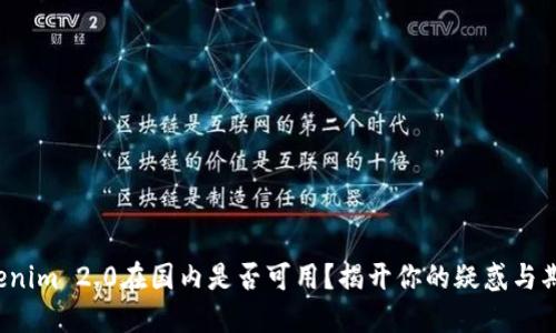 Tokenim 2.0在国内是否可用？揭开你的疑惑与期待！