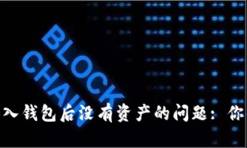 如何解决Tokenim导入钱包后没有资产的问题: 你的数字资产安全指南