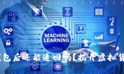 USDT转到假钱包后还能追回吗？揭开虚拟货币背后的真相