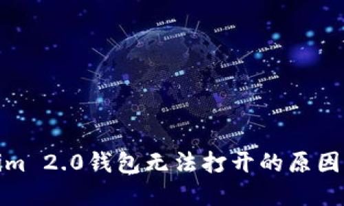 探索Tokenim 2.0钱包无法打开的原因及解决方案