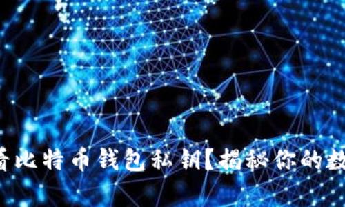 如何轻松查看比特币钱包私钥？揭秘你的数字财富背后！