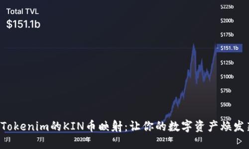 揭秘Tokenim的KIN币映射：让你的数字资产焕发新生！