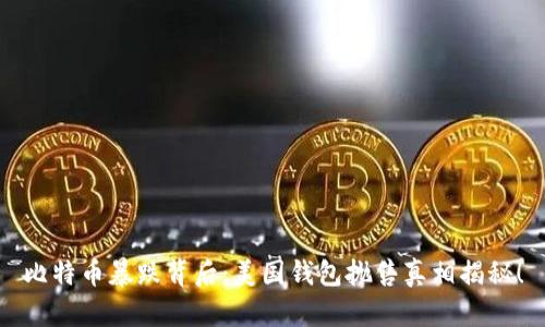 比特币暴跌背后：美国钱包抛售真相揭秘！