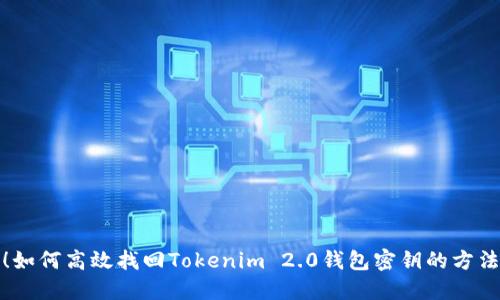 别慌！如何高效找回Tokenim 2.0钱包密钥的方法揭秘