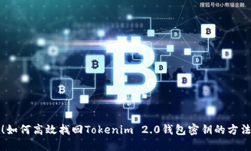 别慌！如何高效找回Tokenim 2.0钱包密钥的方法揭秘