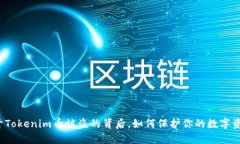 揭开Tokenim币被盗的背后，