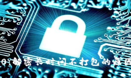 Tokenim 2.0：解密长时间不打包的原因与应对策略