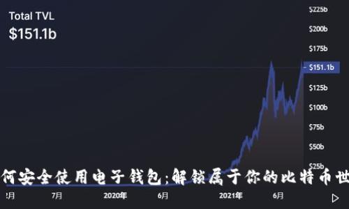 如何安全使用电子钱包：解锁属于你的比特币世界