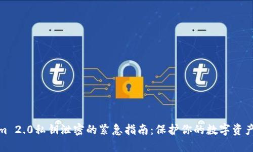 应对Tokenim 2.0私钥泄密的紧急指南：保护你的数字资产不再受威胁