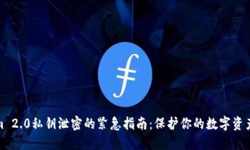 应对Tokenim 2.0私钥泄密的紧急指南：保护你的数字资产不再受威胁