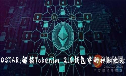 DSTAR：解锁Tokenim 2.0钱包中的神秘之匙