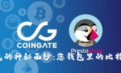 揭开比特币钱包的神秘面