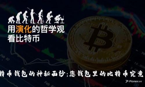 揭开比特币钱包的神秘面纱：您钱包里的比特币究竟有多少？