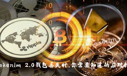 当Tokenim 2.0钱包丢失时，你需要知道的应对措施！