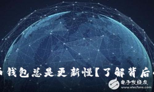 为什么你的比特币钱包总是更新慢？了解背后的原因与解决方案