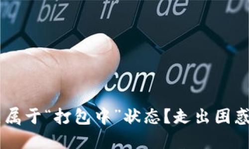 比特币钱包一直属于“打包中”状态？走出困惑，找到解决方案！