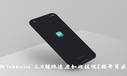 为何你的Tokenim 2.0转账速度如此缓慢？揭开背后的秘密！