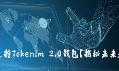 空气币是否会支持Tokenim 2.0钱包？揭秘未来趋势与用户关怀