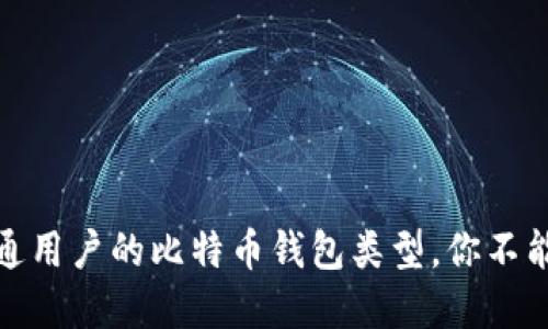 揭秘！最适合普通用户的比特币钱包类型，你不能不知道的选择！