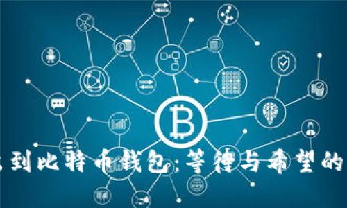 转出到比特币钱包：等待与希望的交织