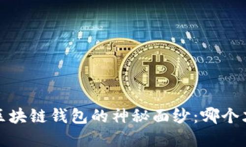 揭开2020年最新区块链钱包的神秘面纱：哪个才是你的理想选择？