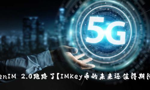 TokenIM 2.0跑路了？IMKey币的未来还值得期待吗？