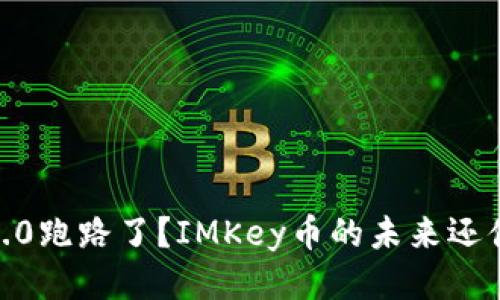 TokenIM 2.0跑路了？IMKey币的未来还值得期待吗？