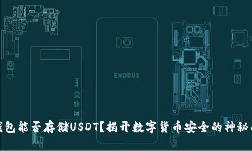 冷钱包能否存储USDT？揭开数字货币安全的神秘面纱