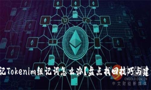 忘记Tokenim组记词怎么办？盘点找回技巧与建议！