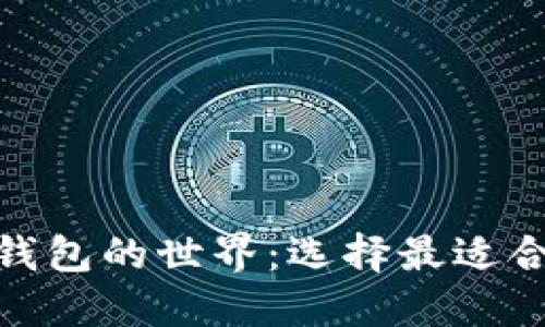 探索比特币钱包的世界：选择最适合你的安全港