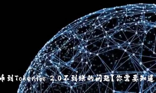 如何快速解决提币到Tokenim 2.0不到账的问题？你需要知道的几个实用技巧！