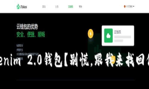 手机丢失Tokenim 2.0钱包？别慌，跟我来找回你的数字资产！
