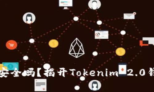 你的数字财富安全吗？揭开Tokenim 2.0钱包私钥的秘密