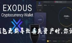 当比特币钱包更新导致丢