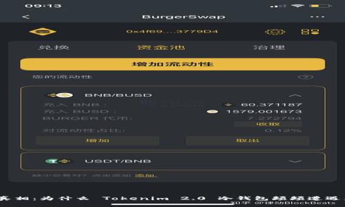 探寻真相：为什么 Tokenim 2.0 冷钱包频频遭遇盗窃？