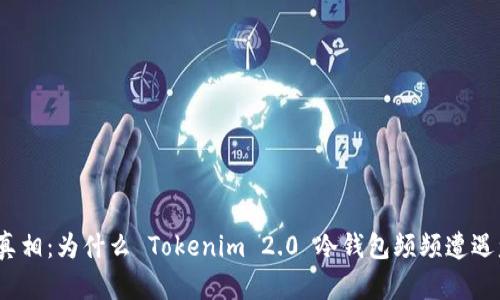 探寻真相：为什么 Tokenim 2.0 冷钱包频频遭遇盗窃？