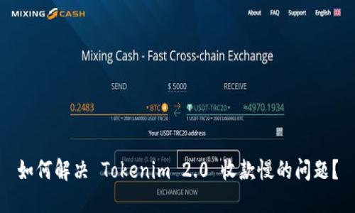 如何解决 Tokenim 2.0 收款慢的问题？