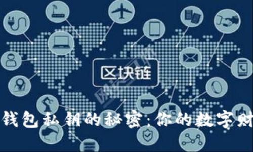 揭秘区块链钱包私钥的秘密：你的数字财产安全之钥