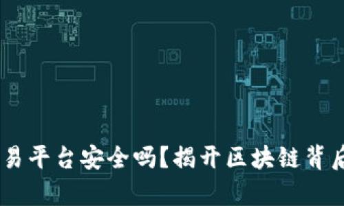 USDT钱包交易平台安全吗？揭开区块链背后的真实面纱