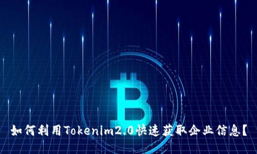 如何利用Tokenim2.0快速获取企业信息？