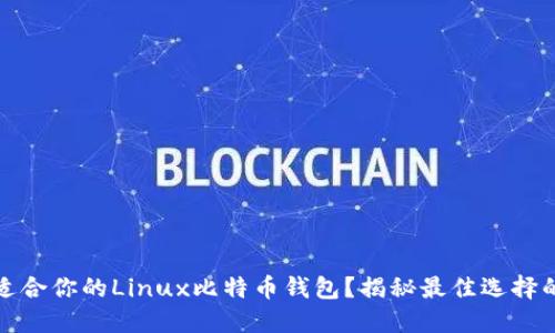 如何选择适合你的Linux比特币钱包？揭秘最佳选择的情感之旅