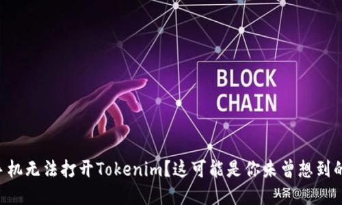 苹果手机无法打开Tokenim？这可能是你未曾想到的原因！